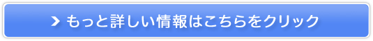 l߂̕ɁIyR^GLXz̔TCg